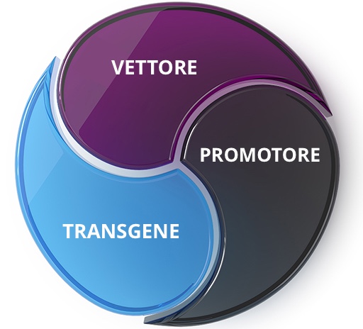 Gene Therapy Engine Italian