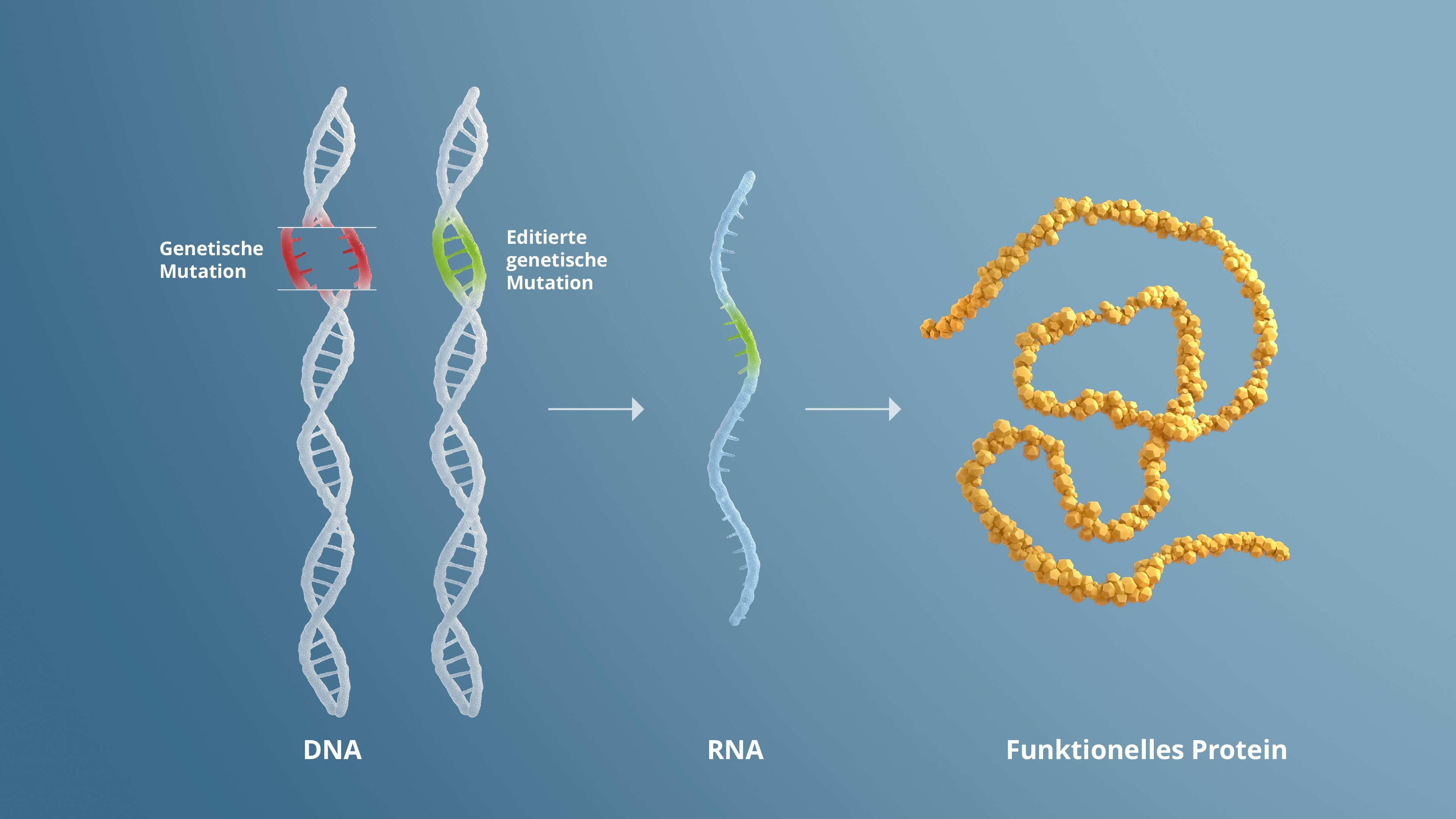 Gene Editing